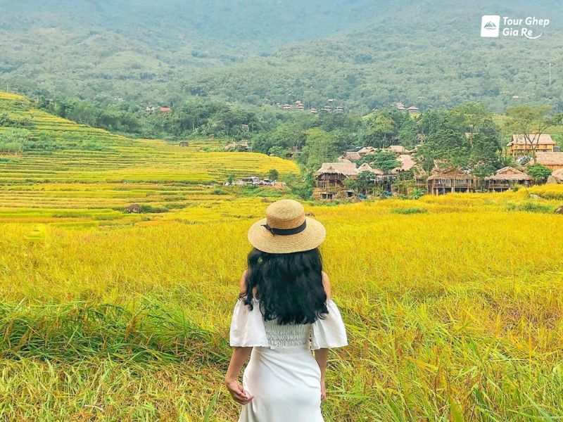 mai-chau-mua-lua-chin-3.jpg (148 KB)