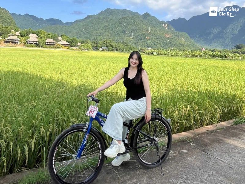 mai-chau-mua-lua-chin-4.jpg (135 KB)