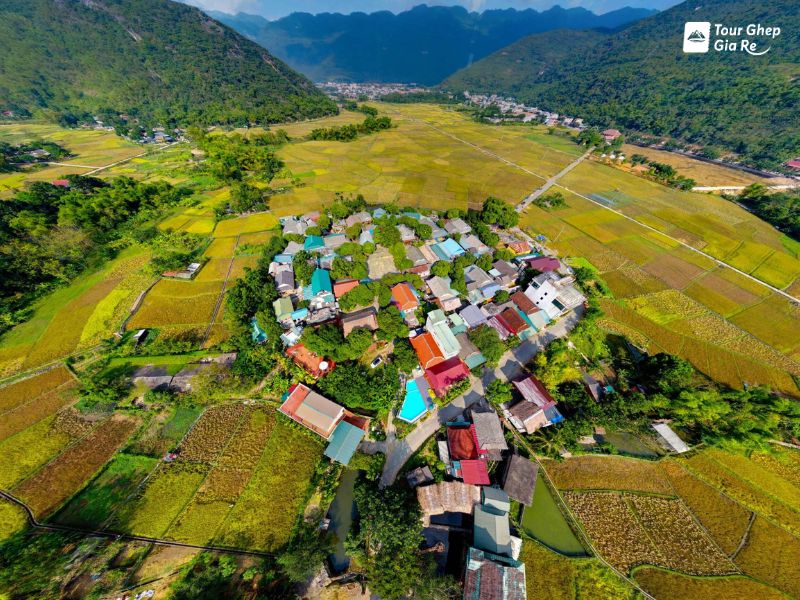 mai-chau-mua-lua-chin-8.jpg (151 KB)