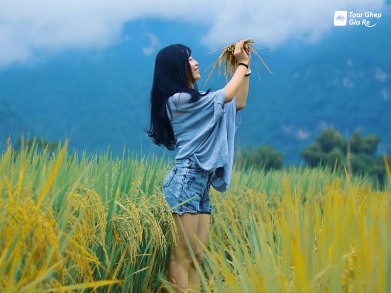 mai-chau-mua-lua-chin-9.jpg (71 KB)