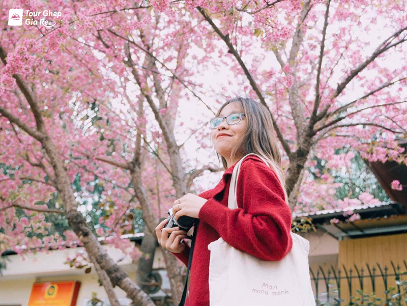 mai-chau-mua-nao-dep-nhat-1.jpg (200 KB)