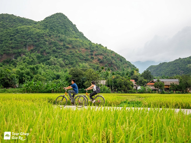 mai-chau-mua-nao-dep-nhat-5.jpg (198 KB)