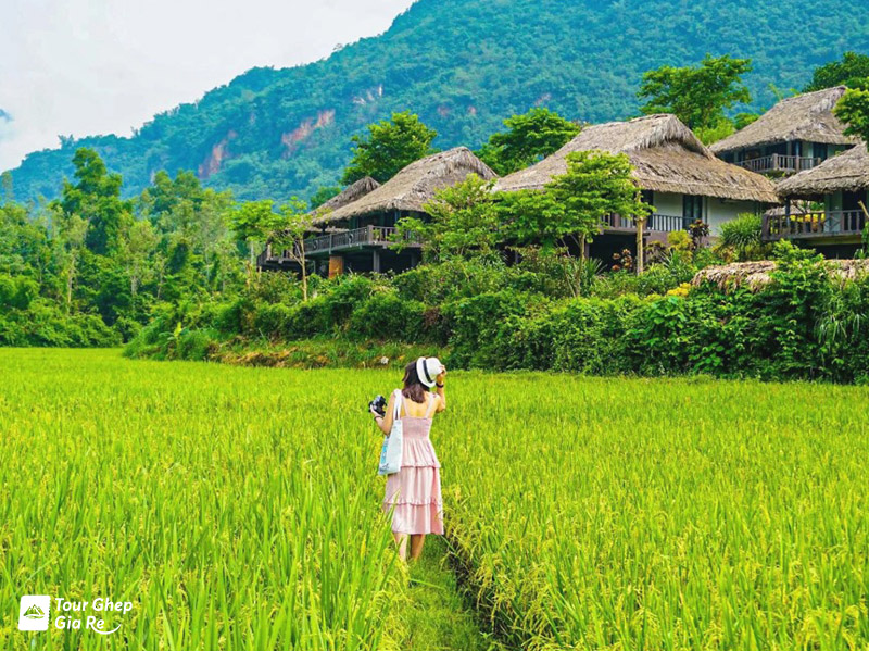 mai-chau-mua-nao-dep-nhat.jpg (268 KB)