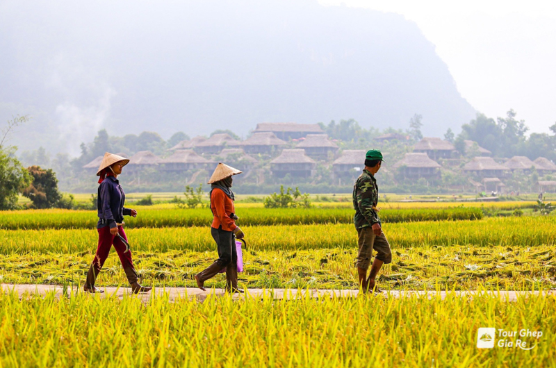 mai-chau-thang-10-15.jpg (407 KB)