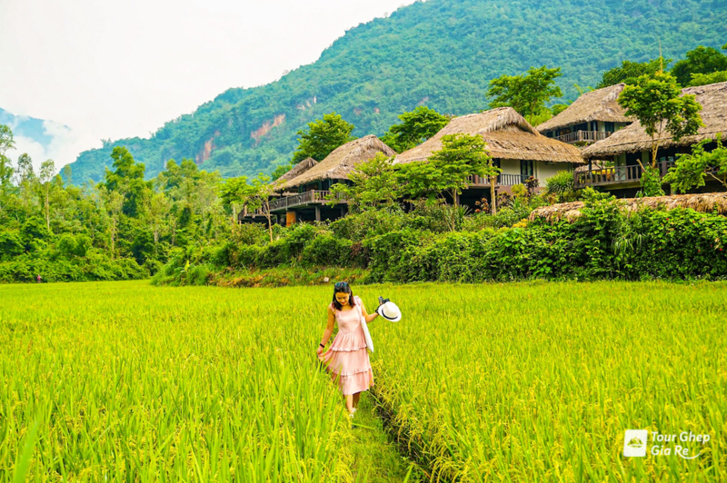 Kinh nghiệm du lịch Mai Châu tháng 10 mùa lúa chín đẹp nhất