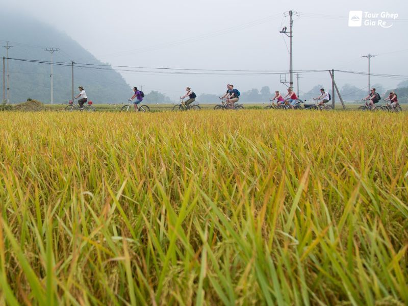 mai-chau-thang-11-5.jpg (91 KB)