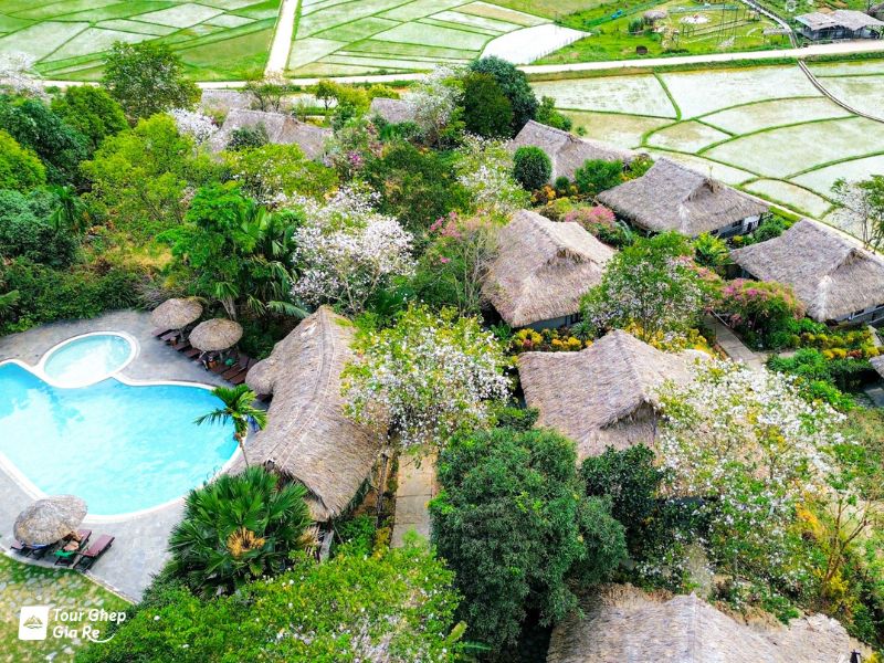 mai-chau-thang-12-11.jpg (179 KB)