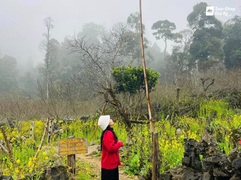 mai-chau-thang-12-4.jpg (138 KB)