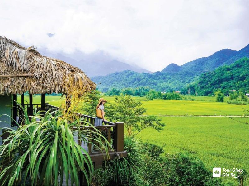 mai-chau-thang-5-2.jpg (114 KB)