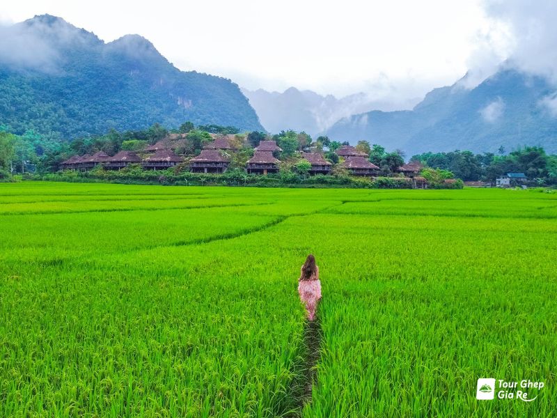 mai-chau-thang-5-4.jpg (115 KB)