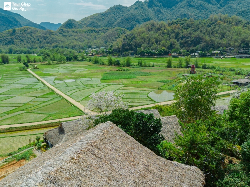 mai-chau-thang-8-3.jpg (551 KB)