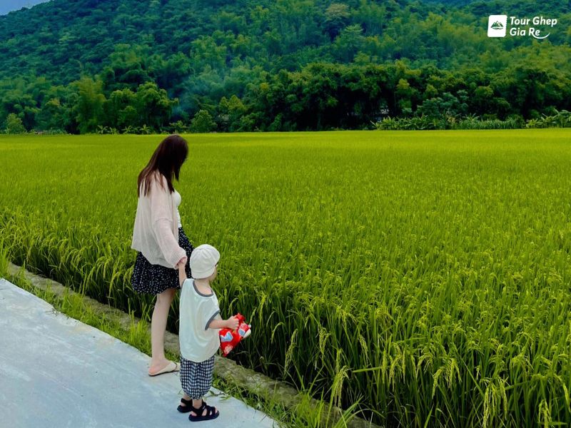 mai-chau-thang-9-ban-lac.jpg (124 KB)