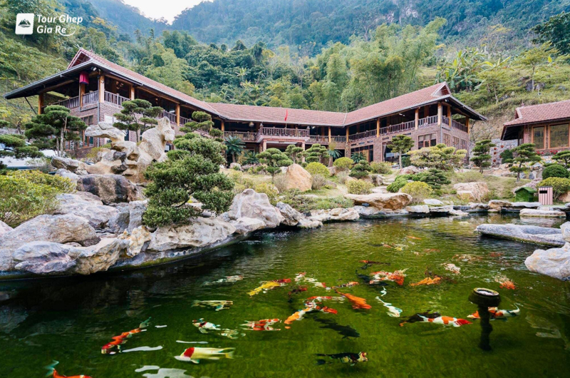 Top 7 quán ăn ngon ở Mai Châu chuẩn vị bản địa nổi tiếng nhất 2026