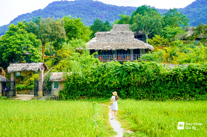 thung-lung-mai-chau-5.jpg (657 KB)