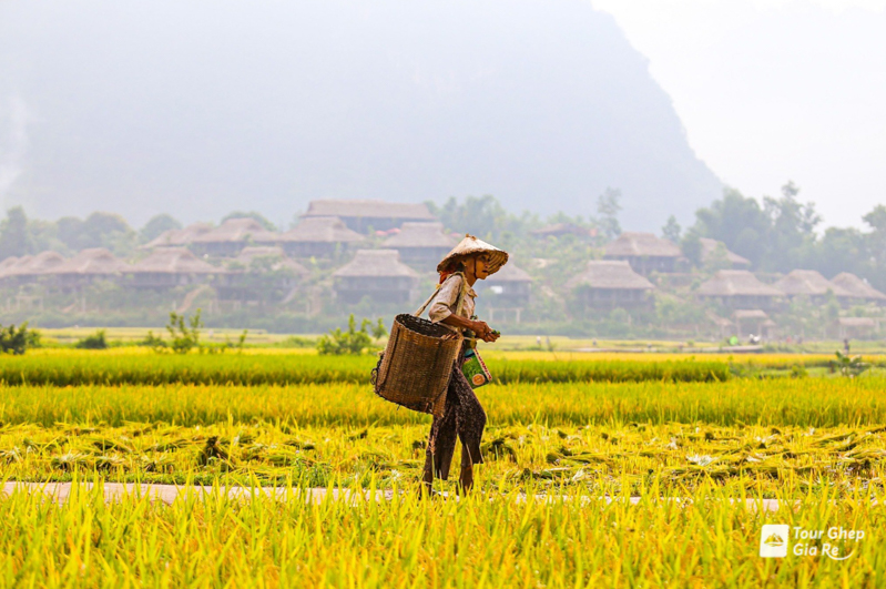 thung-lung-mai-chau-7.jpg (370 KB)