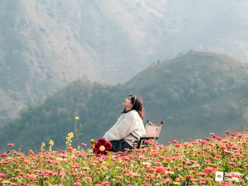 Bản đồ du lịch Mộc Châu đầy đủ mới nhất 2026