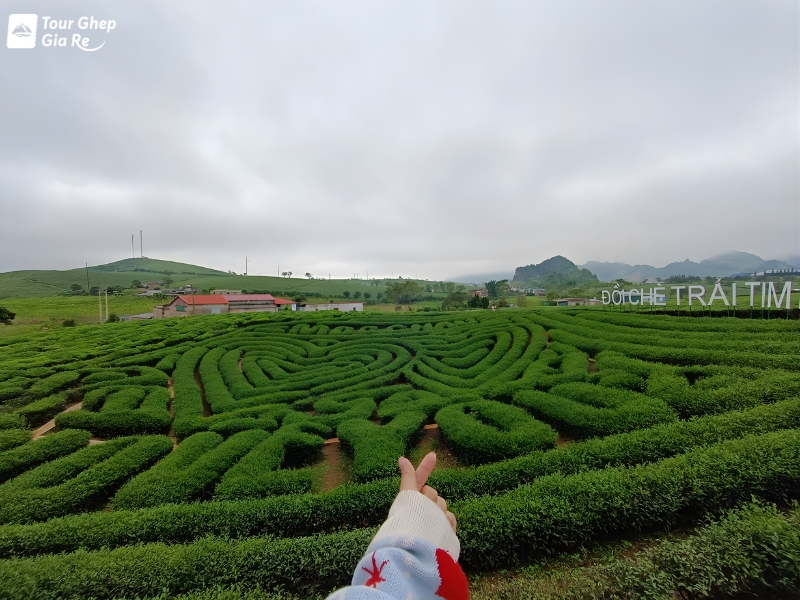 ban-do-du-lich-moc-chau-2.jpg (371 KB)