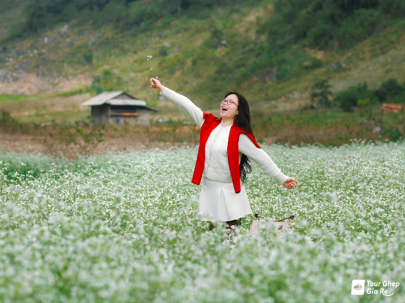 ban-do-du-lich-moc-chau-20.jpg (373 KB)