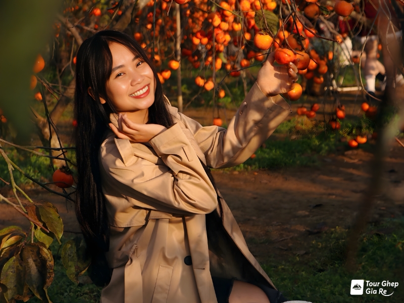 ban-do-du-lich-moc-chau-21.jpg (359 KB)