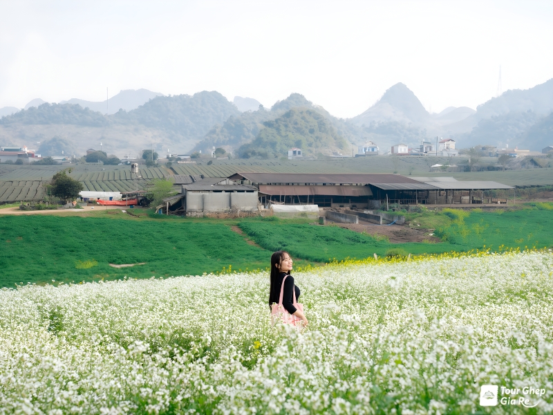 ban-do-du-lich-moc-chau-8.jpg (416 KB)