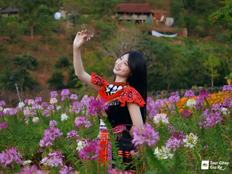 ban-do-du-lich-moc-chau-9.jpg (424 KB)