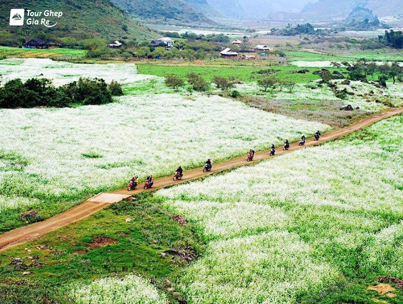 ban-o-moc-chau-2.jpg (292 KB)