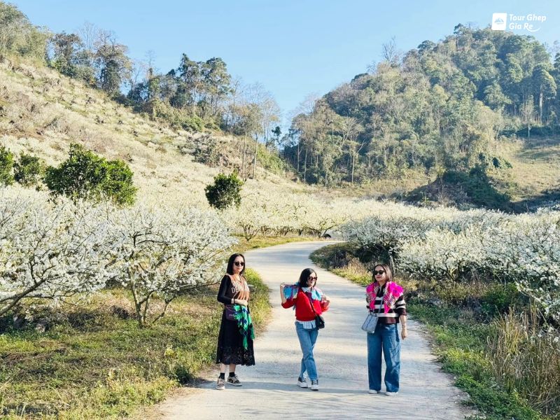 ban-pa-phach.jpg (158 KB)