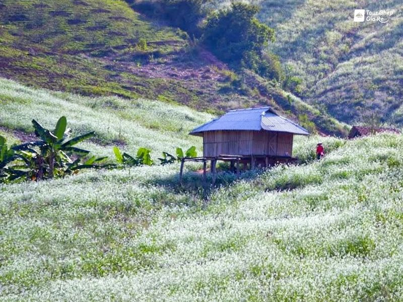 ban-thung-cuong-2.jpg (145 KB)