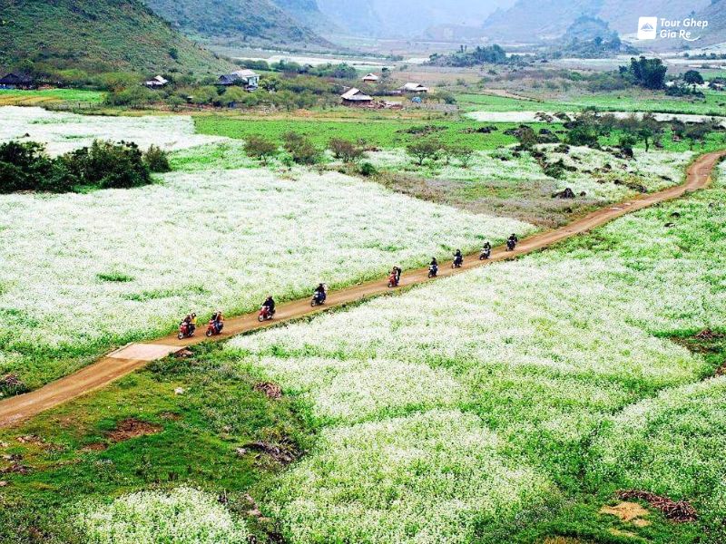 ban-thung-cuong.jpg (189 KB)