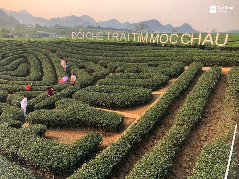 doi-che-trai-tim.jpg (156 KB)