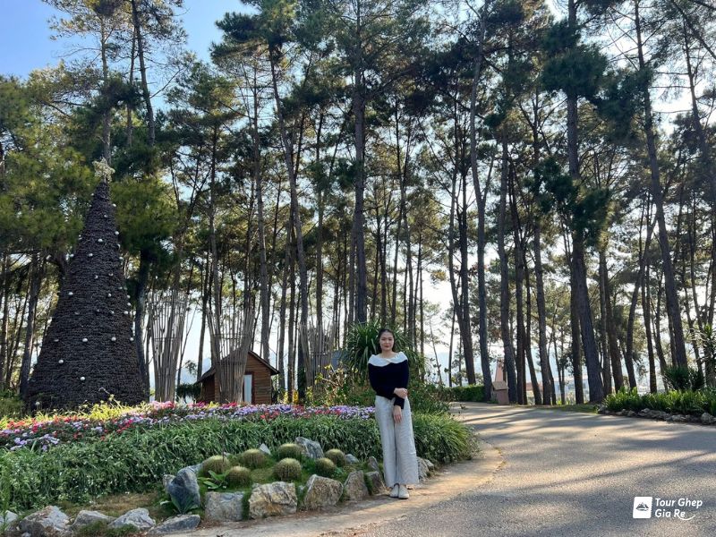 rung-thong-ban-ang.jpg (179 KB)