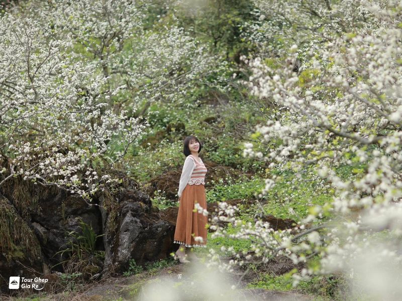 thung-lung-man-na-ka.jpg (149 KB)