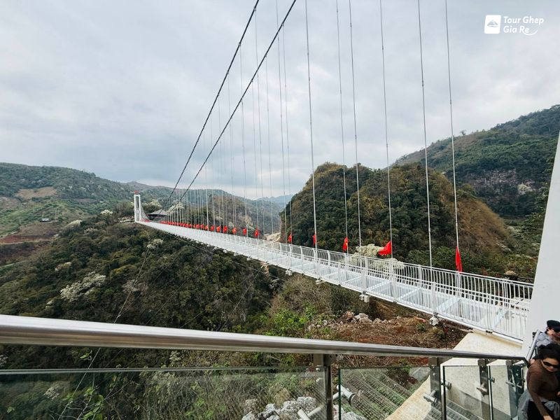 cau-kinh-bach-long-4.jpg (107 KB)