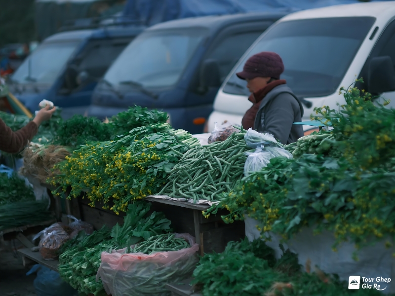 cho-o-moc-chau-5.jpg (326 KB)