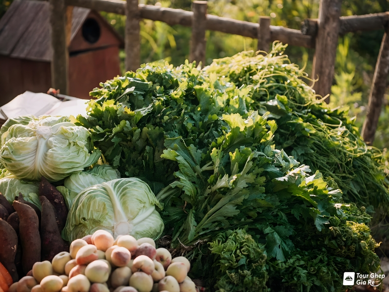 dac-san-moc-chau-2.jpg (446 KB)