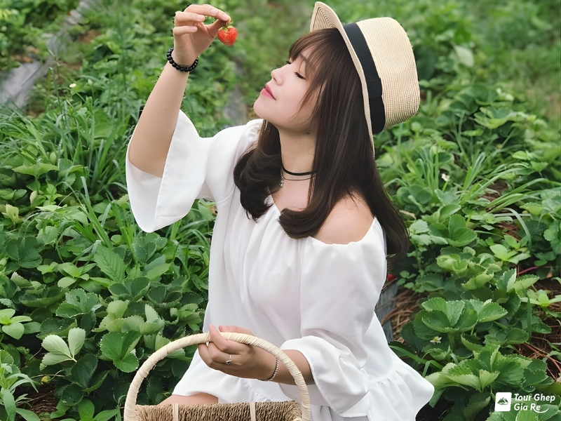 dac-san-moc-chau-5.jpg (414 KB)