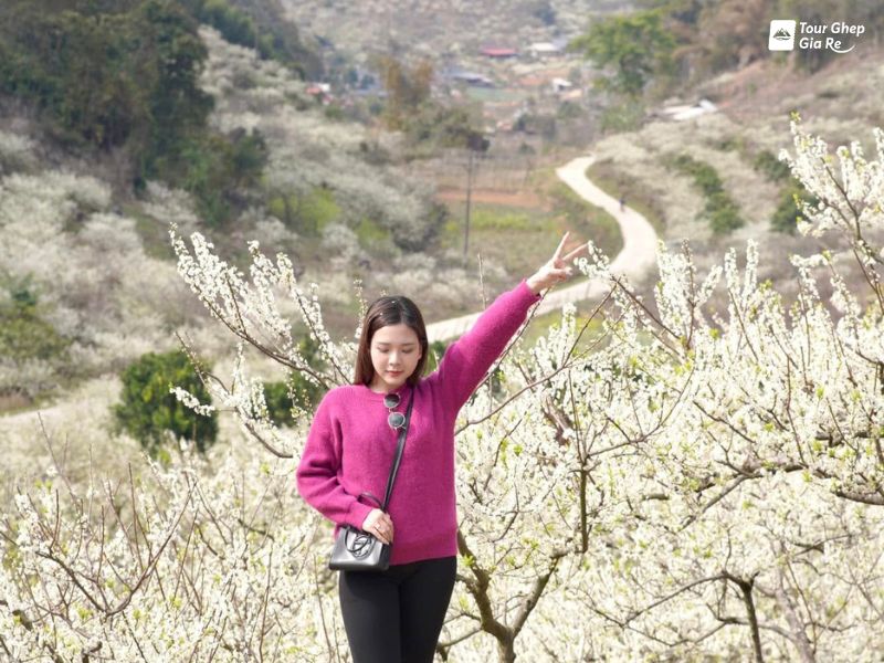 dia-diem-du-lich-moc-chau-ban-pa-phach.jpg (117 KB)