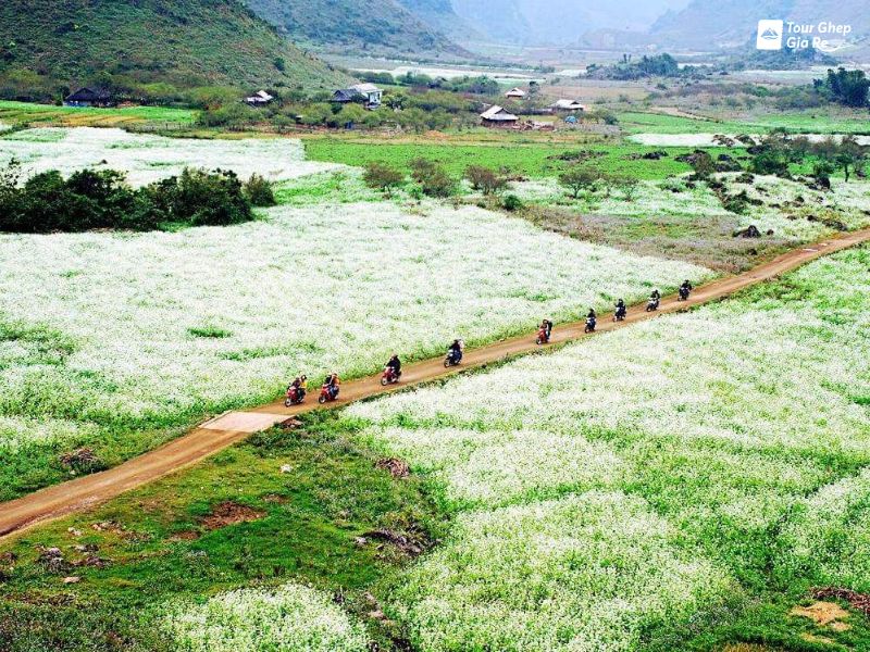 dia-diem-du-lich-moc-chau-ban-thung-cuong.jpg (187 KB)