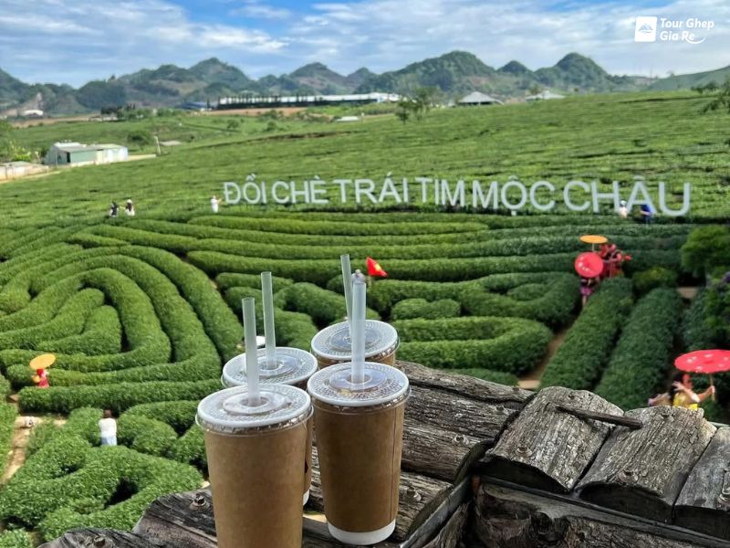 dia-diem-du-lich-moc-chau-doi-che-trai-tim-moc-chau.jpg (112 KB)