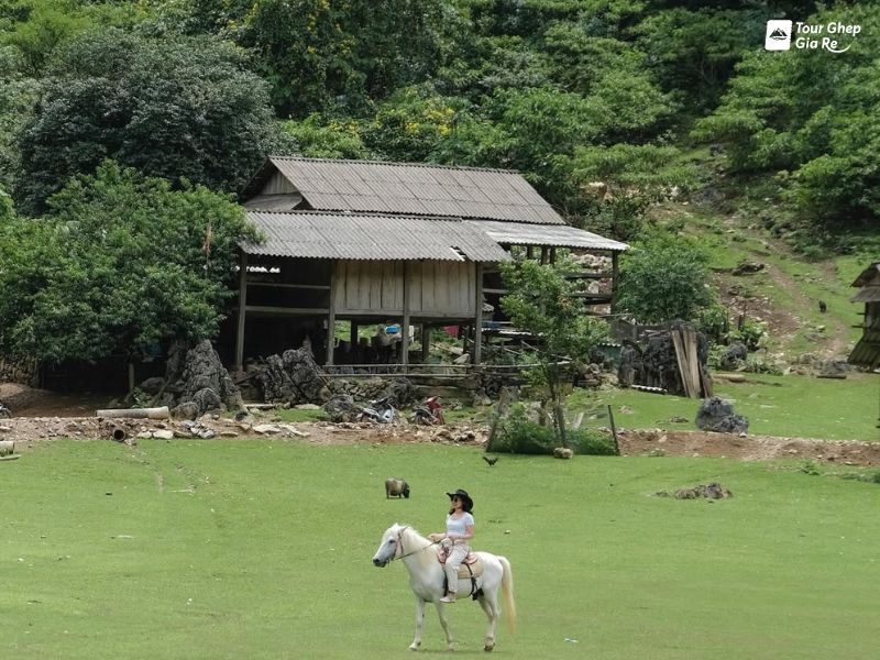 dia-diem-du-lich-moc-chau-hang-tau-nguyen-thuy.jpg (125 KB)