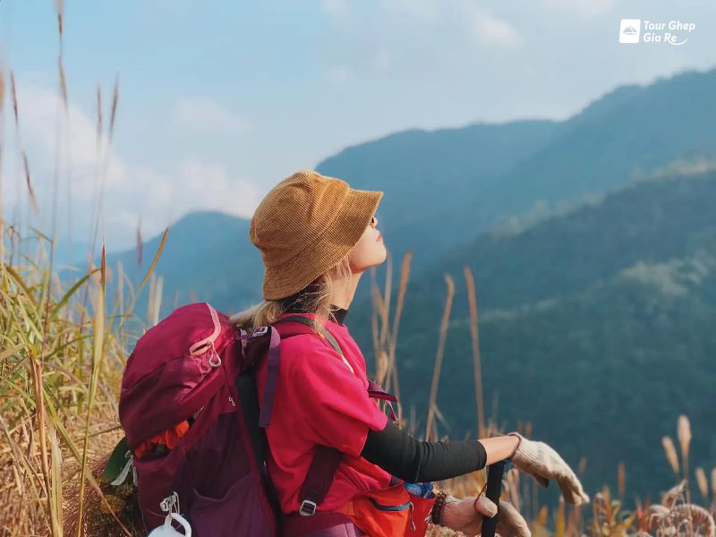 dinh-to-bo-6.jpg (60 KB)