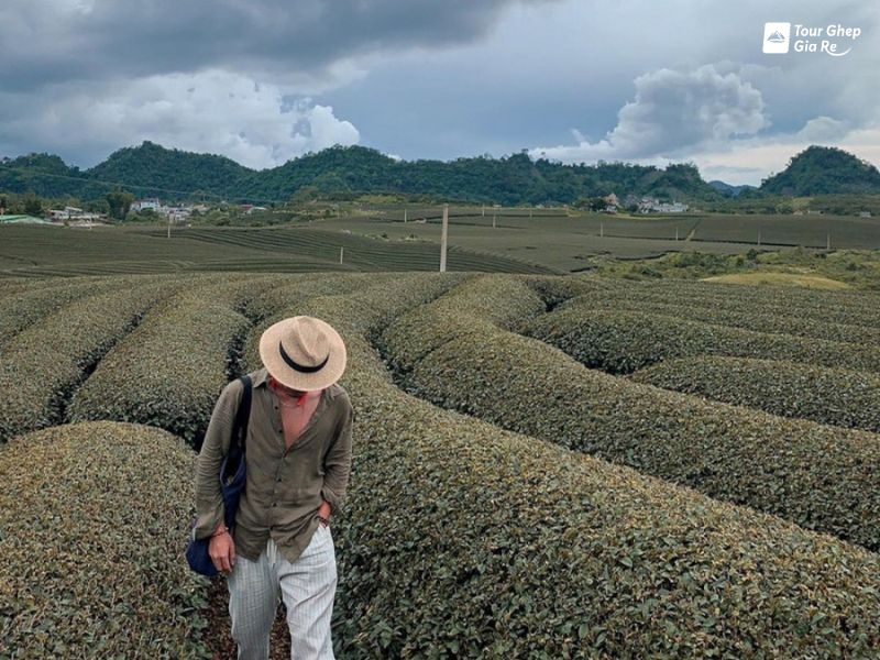 doi-che-trai-tim-moc-chau-6.jpg (118 KB)