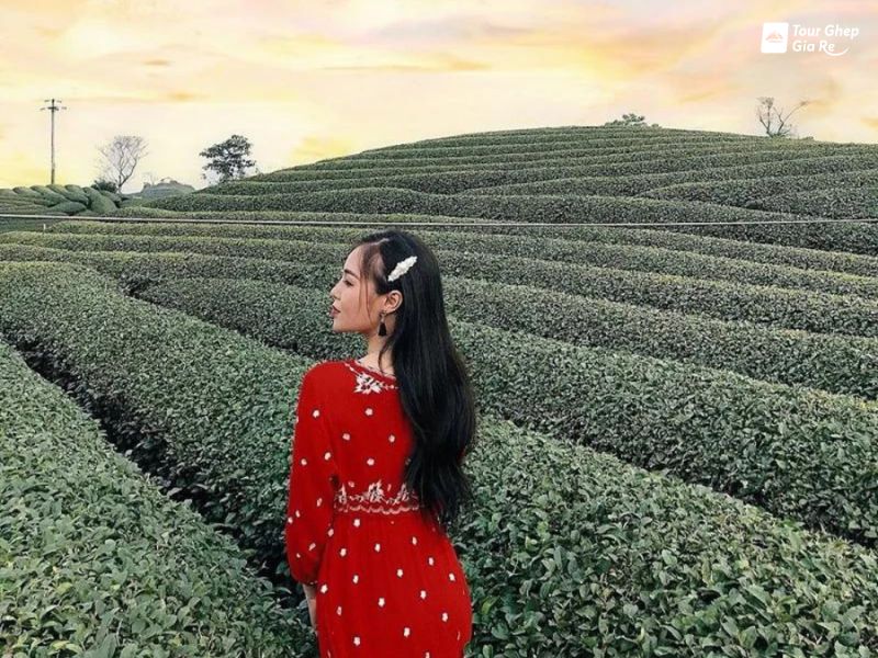 doi-che-trai-tim-moc-chau-7.jpg (138 KB)