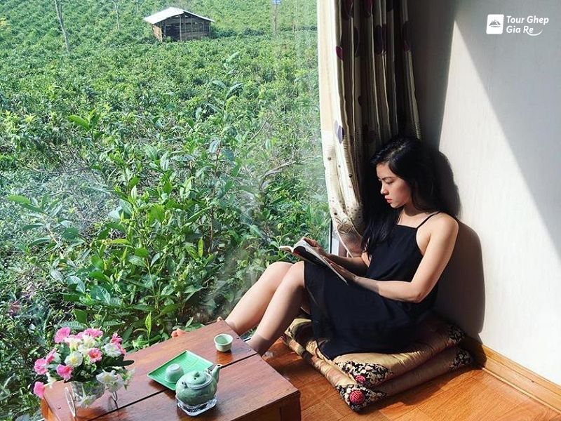 doi-che-trai-tim-moc-chau-9.jpg (145 KB)