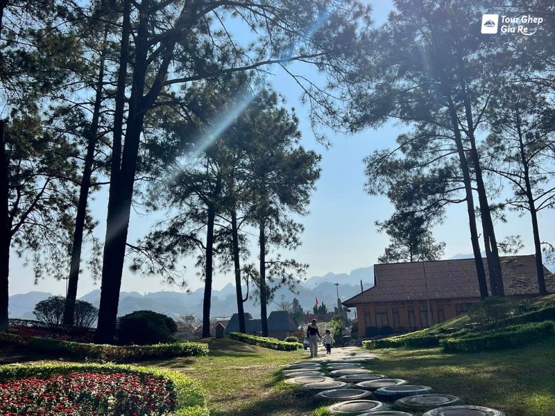 rung-thong-ban-ang.jpg (159 KB)