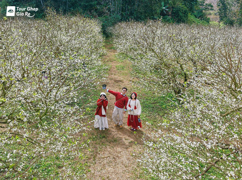 du-lich-cao-nguyen-moc-chau-1.jpg (288 KB)