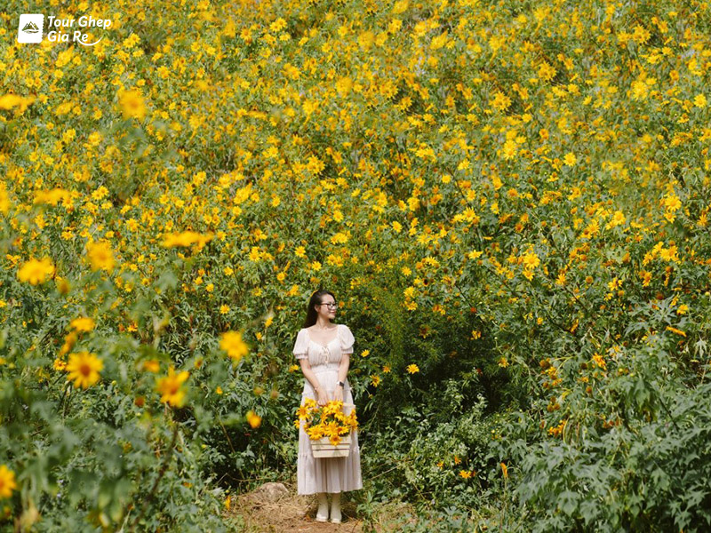 du-lich-cao-nguyen-moc-chau-2.jpg (331 KB)