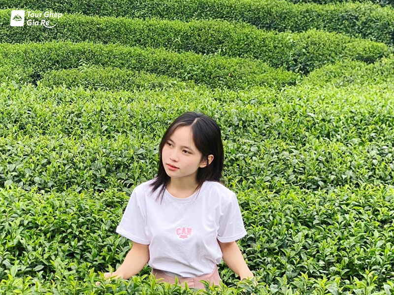 du-lich-cao-nguyen-moc-chau-3.jpg (312 KB)