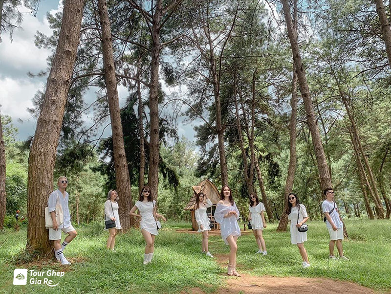 du-lich-cao-nguyen-moc-chau-5.jpg (264 KB)