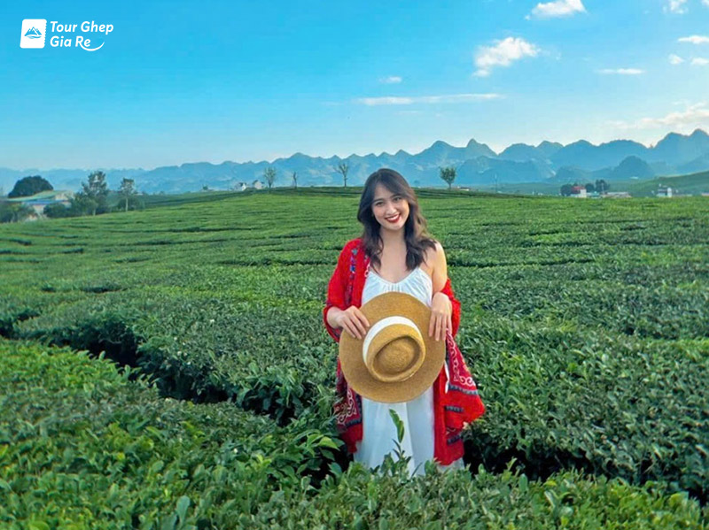 du-lich-cao-nguyen-moc-chau.jpg (182 KB)